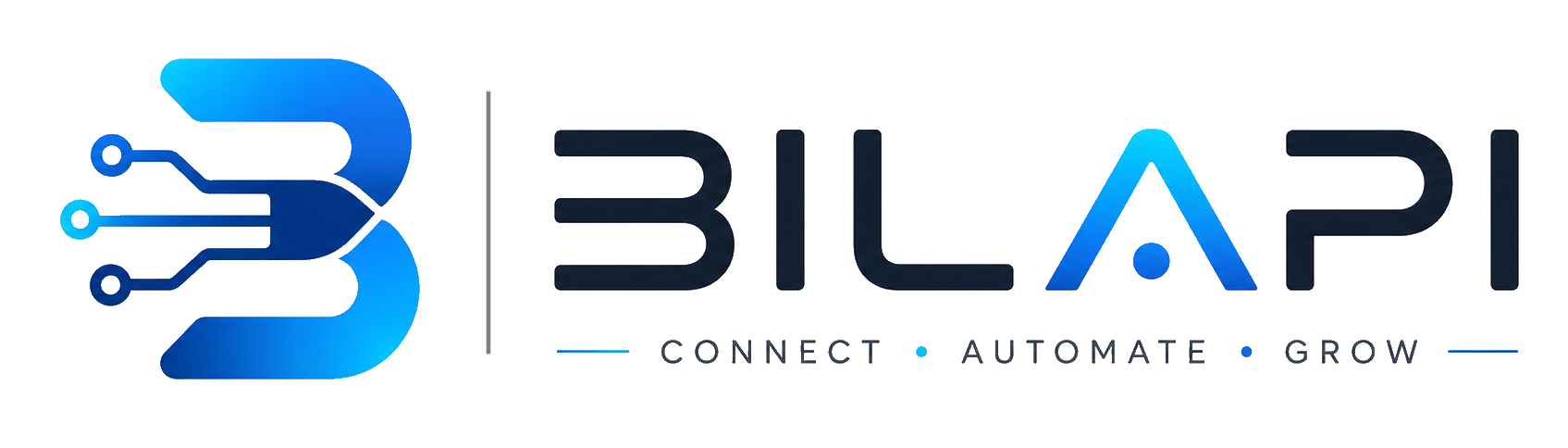 BILAPI